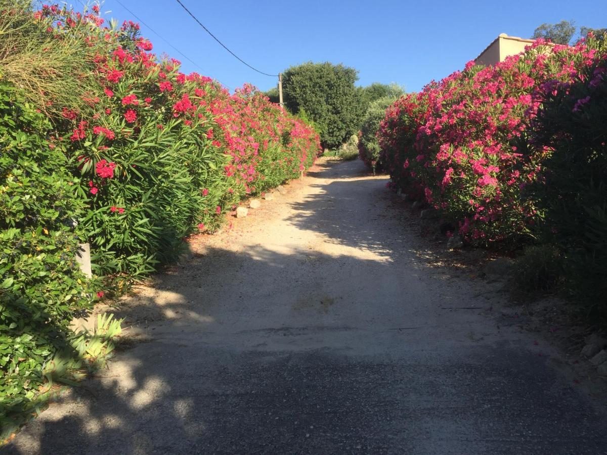 Chambre D'Hotes Les Cigales Bed and Breakfast Comps  Exterior foto